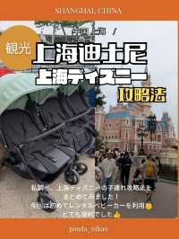 🇨🇳子どもと行く！上海ディズニー攻略法