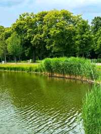 GreenHeartbeat – A Moment in Clara-Zetkin-Park, Leipzig