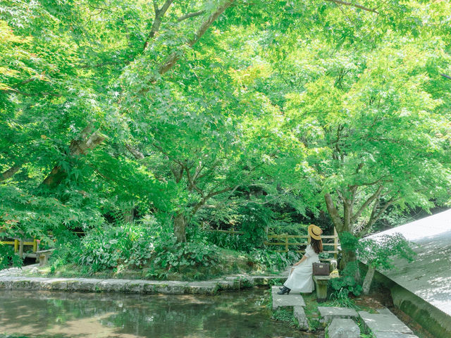 【佐賀】京都じゃないんです！緑のリフレクション🌳