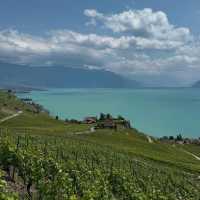 Lavaux Vineyards in Summer: A Sun-Drenched Paradise of Wine & Wanderlust
