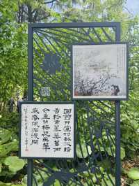 A Literary Escape in the Heart of the City – Lu Xun Park, Shanghai