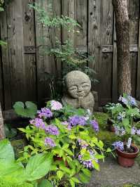 えっ、長谷寺って、紫陽花だけじゃないの？🇯🇵✈️🌎