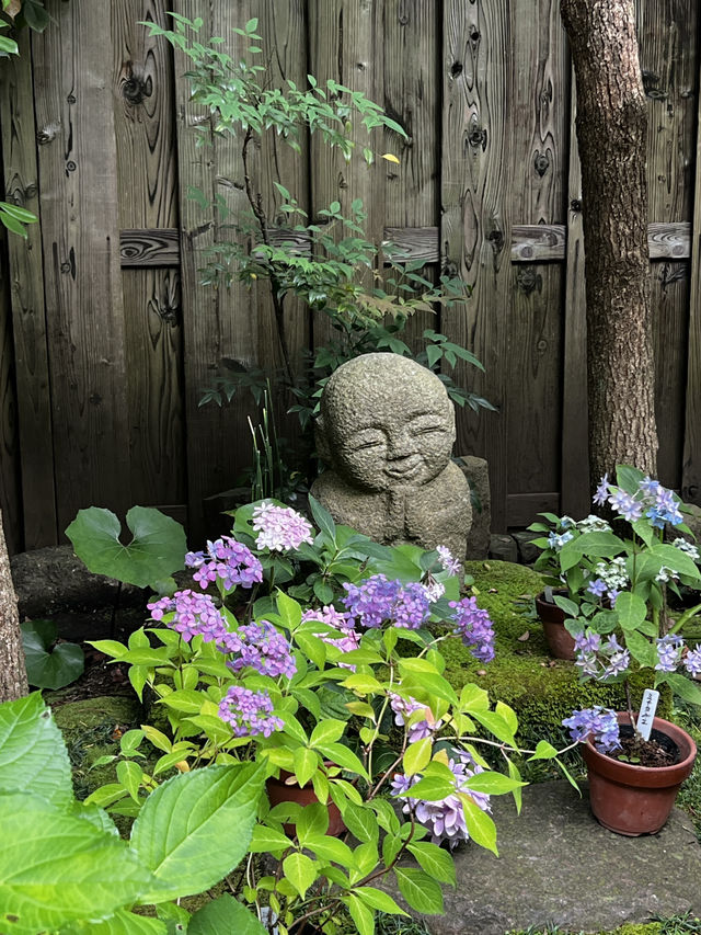 えっ、長谷寺って、紫陽花だけじゃないの？🇯🇵✈️🌎