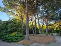 리스본의 야외데이트 장소 Jardim da Fundação Calouste Gulbenkian