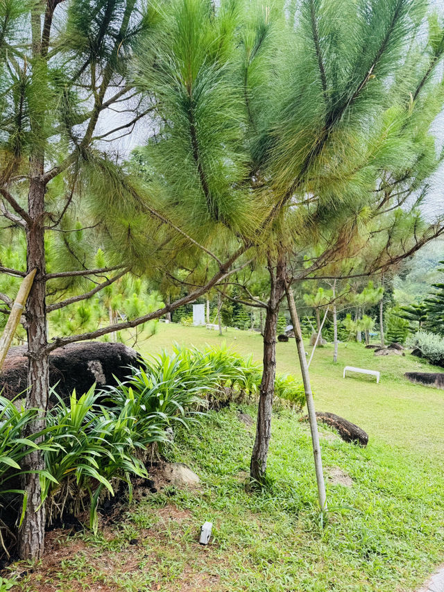 Nature’s Pause: A Calm Break at The Qiū Dining