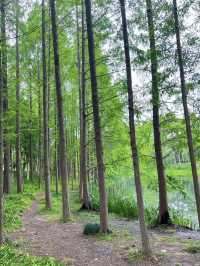 A Community Sports & Nature Hub – Minhang Sports Park, Shanghai
