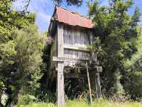 Paparoa National Park