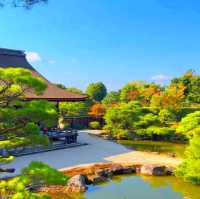 京都