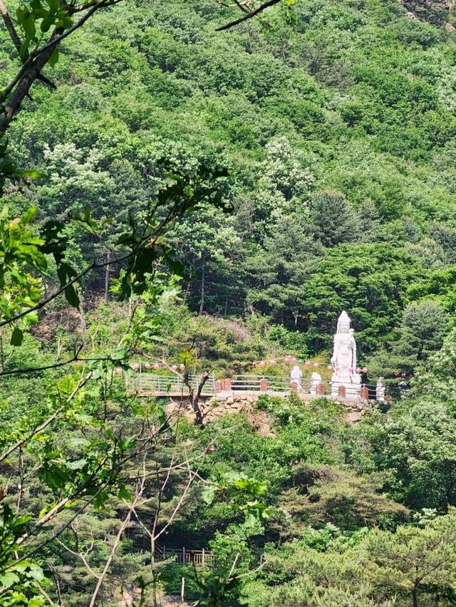Swingin’ High at Gamaksan
