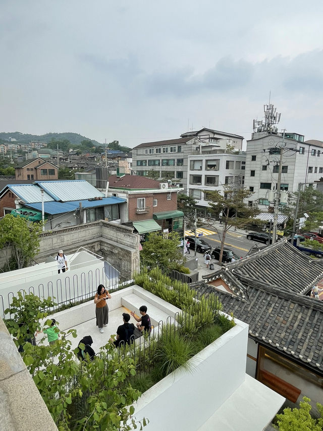 【🇰🇷安国】広々モダンカフェ🌿Osulloc Tea House🍵