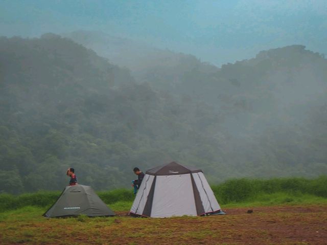 🌧️⛺️ ไร่ฝนเทียม – กางเต็นท์หน้าฝน