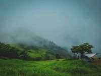 🌧️⛺️ ไร่ฝนเทียม – กางเต็นท์หน้าฝน