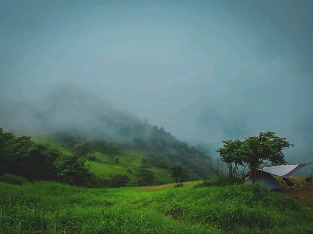 🌧️⛺️ ไร่ฝนเทียม – กางเต็นท์หน้าฝน