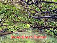 ล่องเรือชมป่าชายเลน Sicao Green Tunnel✨️