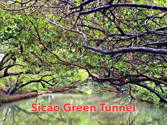 ล่องเรือชมป่าชายเลน Sicao Green Tunnel✨️