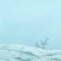 หิมะครั้งแรกของฉัน ณ กำแพงหิมะ Murodo Snow Wall 