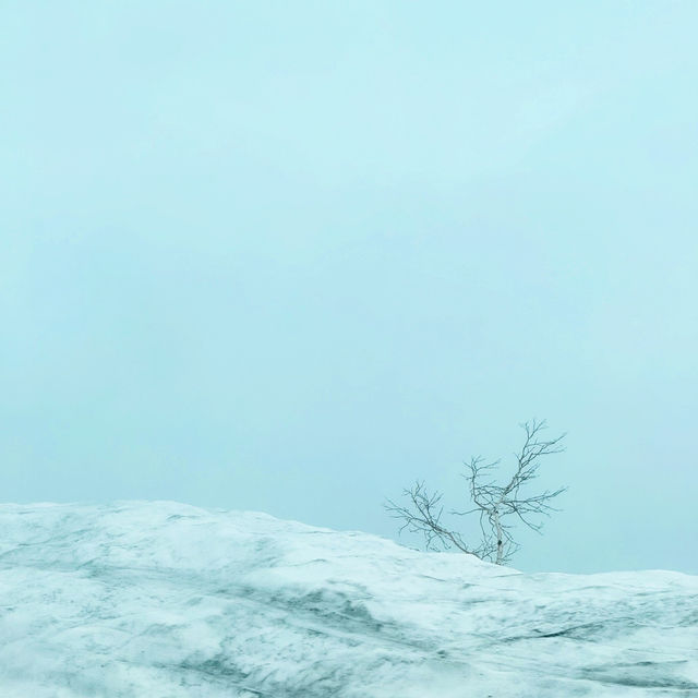 หิมะครั้งแรกของฉัน ณ กำแพงหิมะ Murodo Snow Wall 