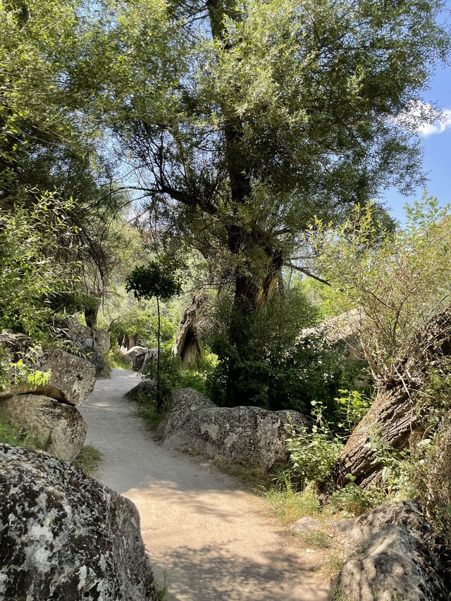 Beautiful walk in nature along the river🥹✨