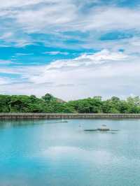 MacRitchie Reservoir 