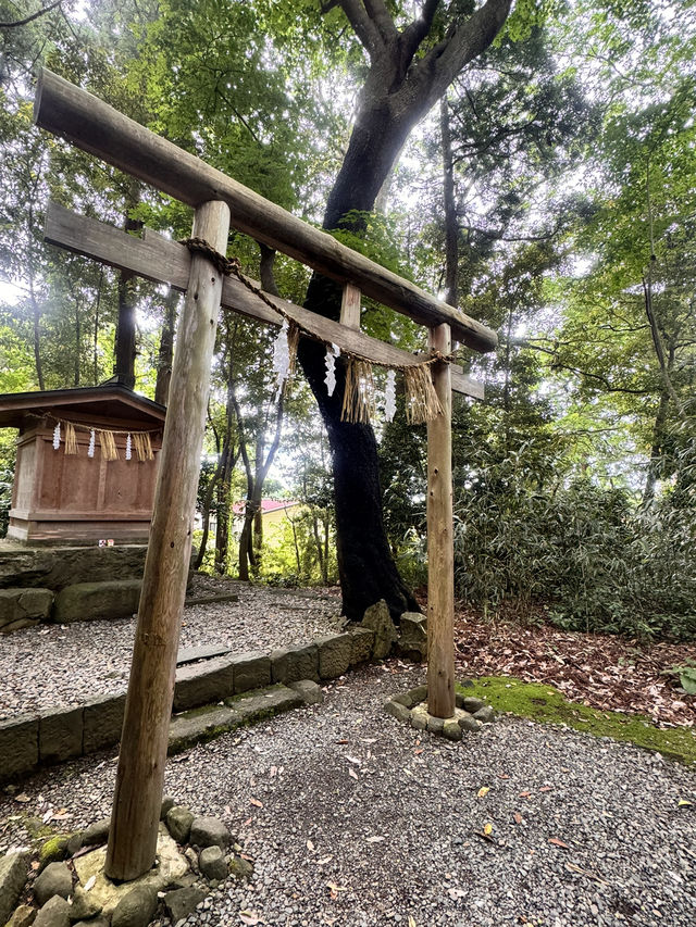 新潟-彌彥神社