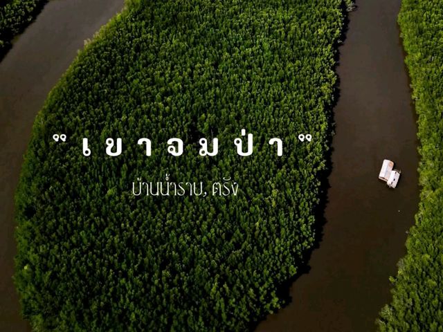 🌿 เขาจมป่า บ้านน้ำราบ จ.ตรัง 🌿
