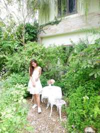 ร้านปาฎี : Padee in the wild คาเฟ่ระยอง