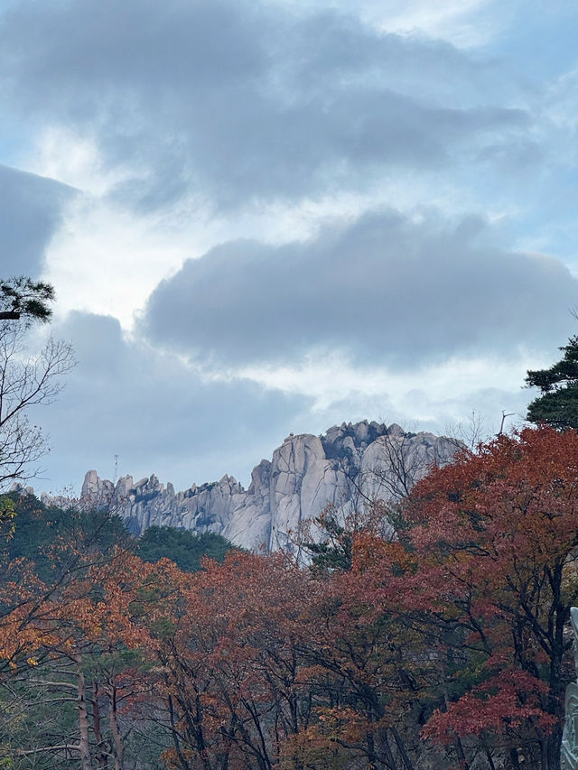 🍁 설악산 당일치기 여행기 – 단풍, 케이블카, 신흥사까지 완벽 루트!