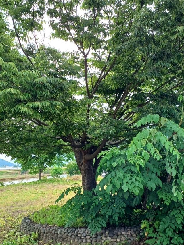 둘만의 조용한 사찰 데이트, 마음이 차분해져요