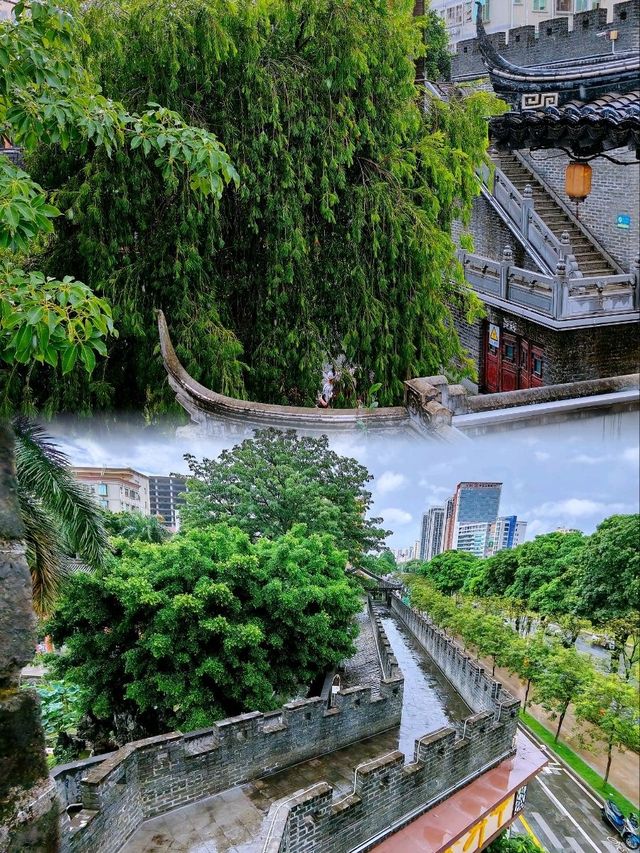 少眾深圳萬景樓
