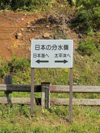 🚂長野・野辺山高原｜標高1,345mの天空リゾートで爽やかトリップ