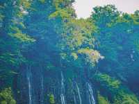 น้ำตก Shirato (Shiraito Falls / 白糸の滝) 
