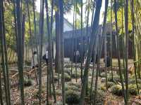 🌿 Canglang Pavilion 沧浪亭 — Suzhou’s Oldest Garden with Timeless Serenity 