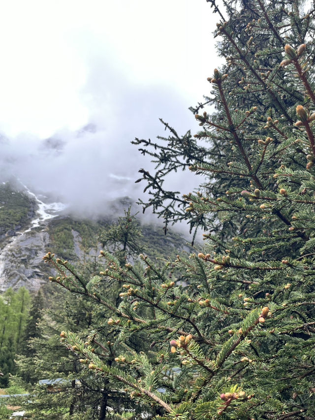 Everything You Need to Know for Visiting Shuangqiaogou at Mount Siguniang