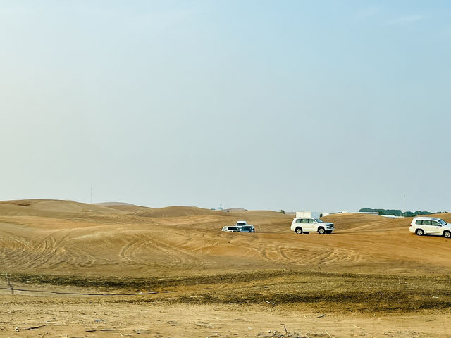 Dunes & Dreams: A Desert Adventure in Dubai