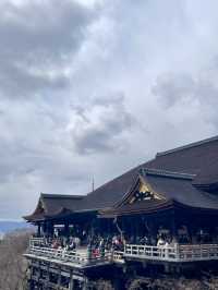 【京都を見て、歩いて、食べて】