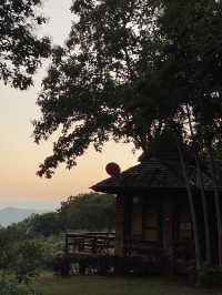 🌲✨ สวนป่าแม่แจ่ม – เชียงใหม่