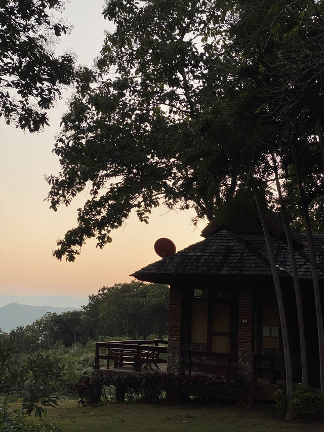 🌲✨ สวนป่าแม่แจ่ม – เชียงใหม่