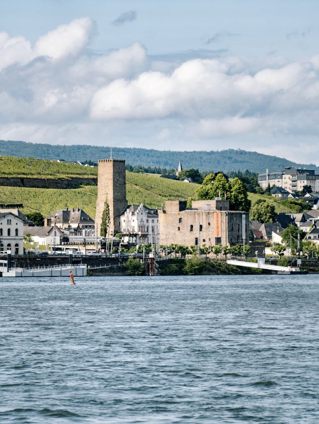 🇩🇪 呂德斯海姆 Rüdesheim am Rhein 一日遊攻略｜萊茵河畔的中世紀童話小鎮