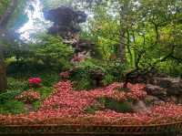I came to this garden in Suzhou, and I was stunned by its beauty