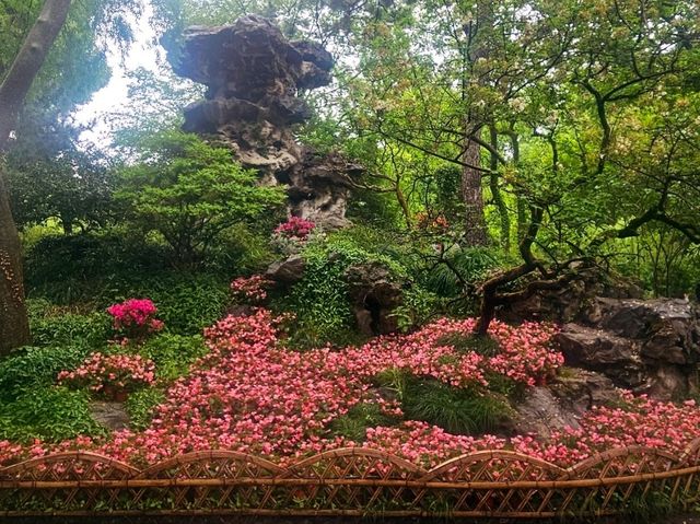 I came to this garden in Suzhou, and I was stunned by its beauty