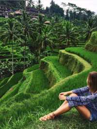 Jatiluwih Rice Terraces