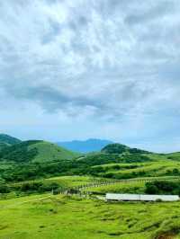 Summer Escape to Qingtiangang Grassland