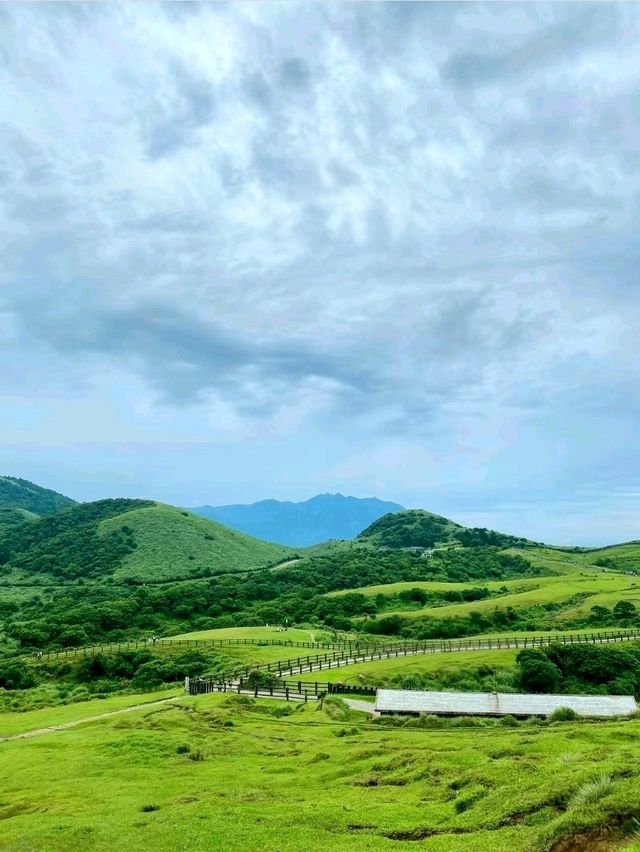 Summer Escape to Qingtiangang Grassland