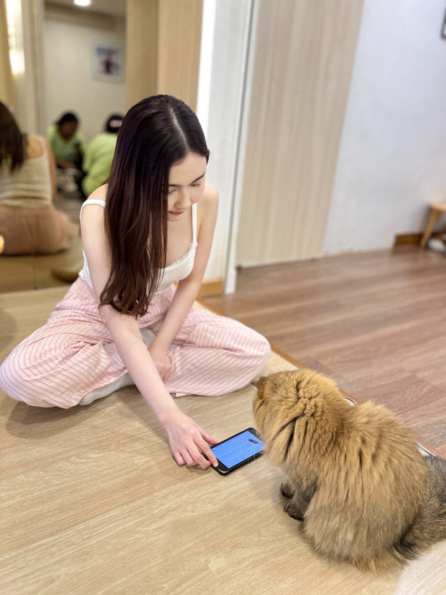 MALI CAT CAFE🍭