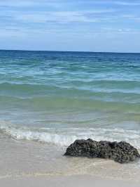หาดเทียนเกาะล้านที่ไม่ควรพลาด น้องห่านน่ารัก