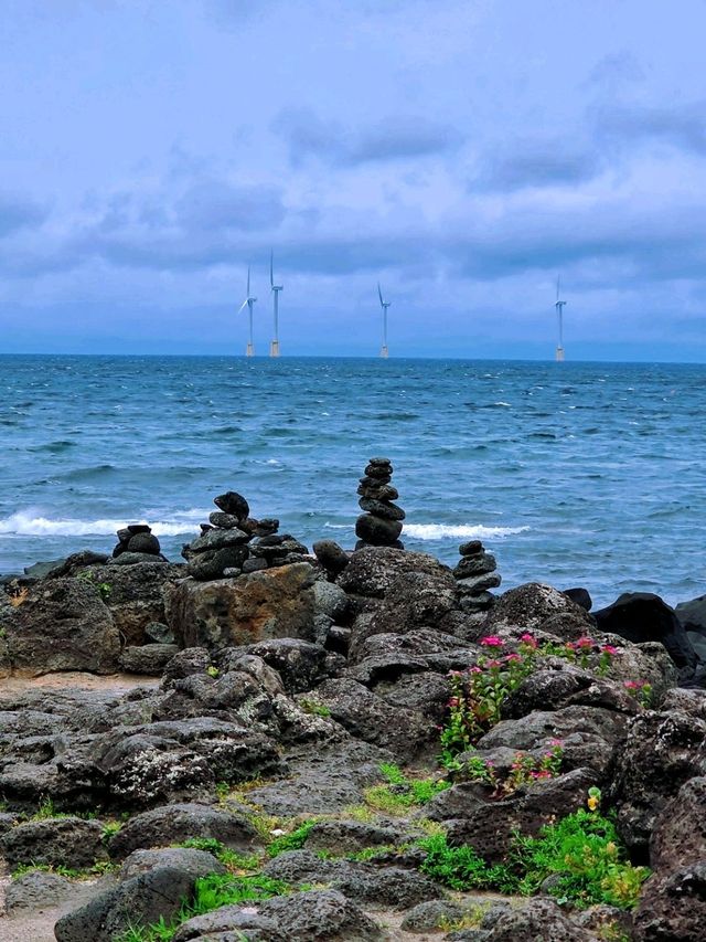 漢潭海岸 和 龍潭海邊散步🏖🌴