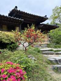 可能係全韓國最靚嘅花園！晨靜樹木園：四季都美到不像話💐💫