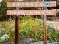 Ping Chau: Hong Kong’s Hidden Island Paradise – A Solo Explorer’s Guide