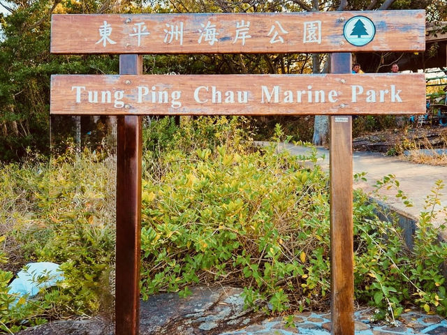 Ping Chau: Hong Kong’s Hidden Island Paradise – A Solo Explorer’s Guide