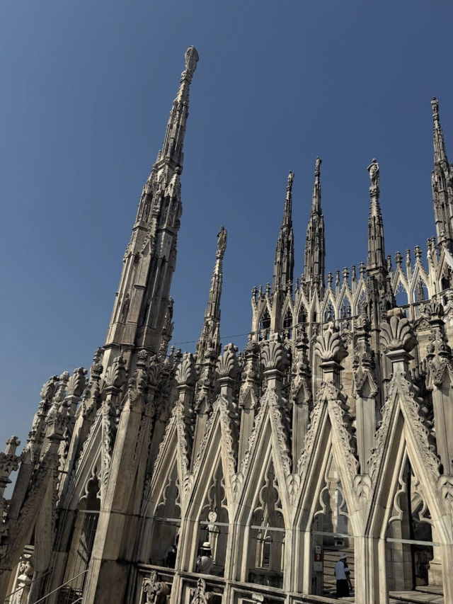 【黄金に輝く祈りの空間】モンレアーレ大聖堂で体感するシチリアの美⛪🌟